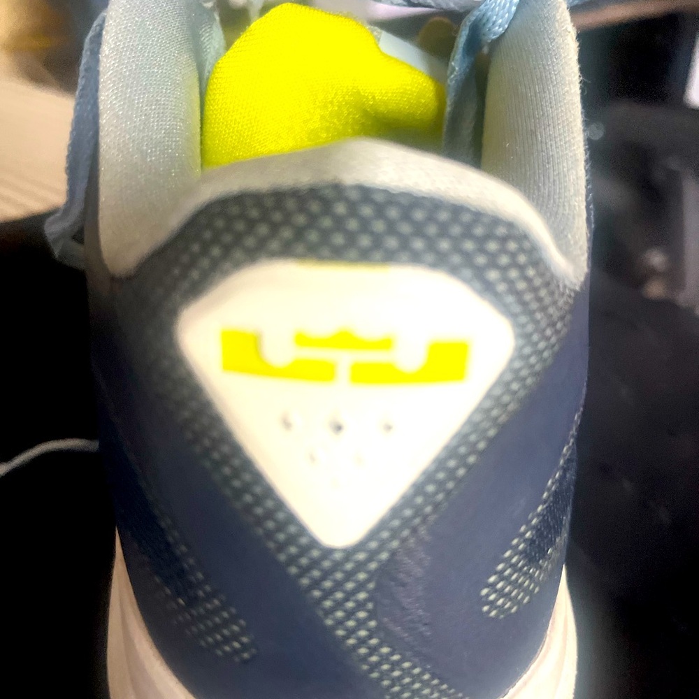 LeBron James shoes
